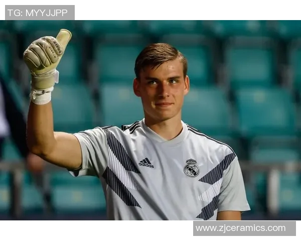 林与谢里夫精彩对决直播全程回顾与分析，谁将笑到最后